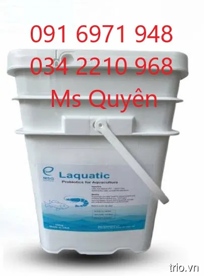 Men tiêu hóa Lactobacillus cho tôm cá LAQUATIC hàng Mỹ